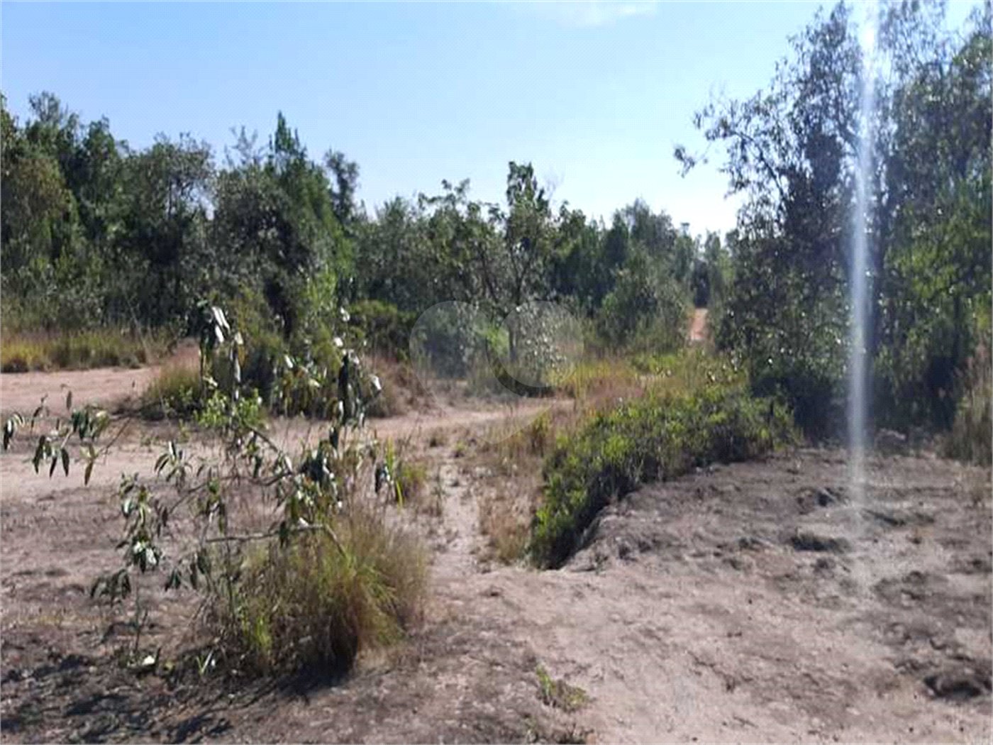 Terreno à venda em Caraguatá, Mairiporã, SP