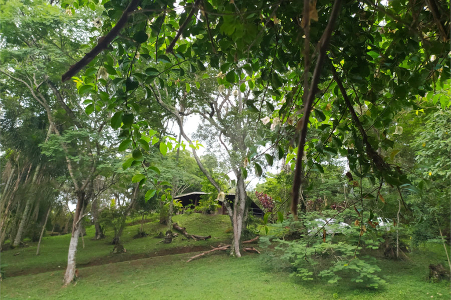 Casa à venda com 2 quartos no condomínio Céu Azul, Mairiporã - SP