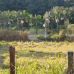 Terreno à venda em Vinhedos, São Roque, SP
