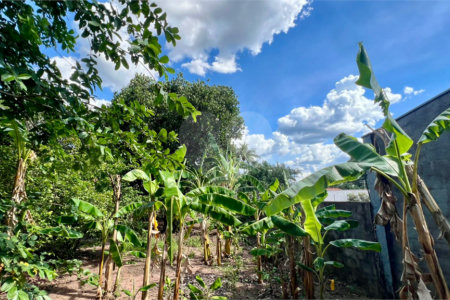 Lote à venda no Balneário Santo Antônio – Broa