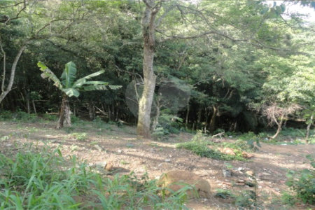 Terreno à venda em Samambaia, Mairiporã, SP