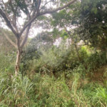 Terreno à venda em Ferradura, Armação dos Búzios, RJ