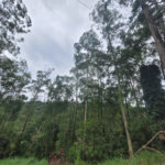 Terreno à venda no condomínio Parque Petrópolis 4 Secção, Mairiporã - SP
