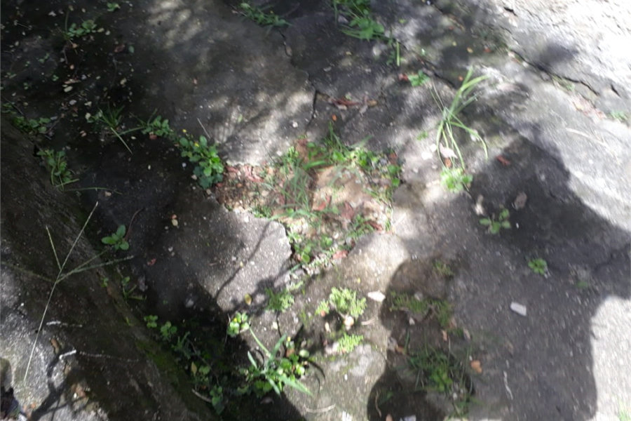 Terreno à venda em Santana, São Paulo, SP