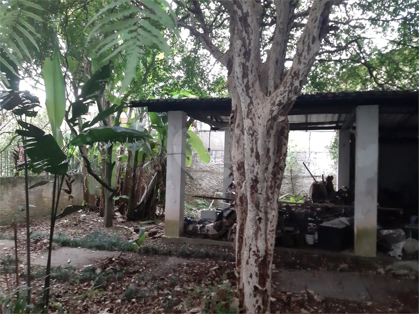 Terreno à venda em Vila Gustavo, São Paulo, SP