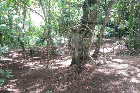 Sítio à venda no Centro, Monte Sião, MG