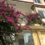 Casa à venda com 5 quartos, sendo 4 suítes, no condomínio Jardim Vitória Régia, São Paulo - SP