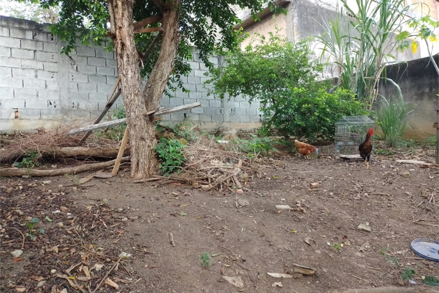 Terreno à venda com 1 quarto em Jaçanã, São Paulo, SP