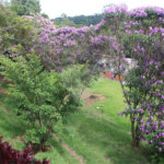 Chácara à venda com 3 quartos, sendo 1 suíte, em Jardim 21 de Março, Louveira, SP