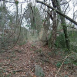 Terreno à venda em Chácaras Alpina, Valinhos, SP