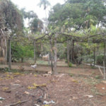 Terreno à venda em Horto Florestal, São Paulo, SP