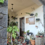 Casa à venda com 5 quartos em Mandaqui, São Paulo, SP