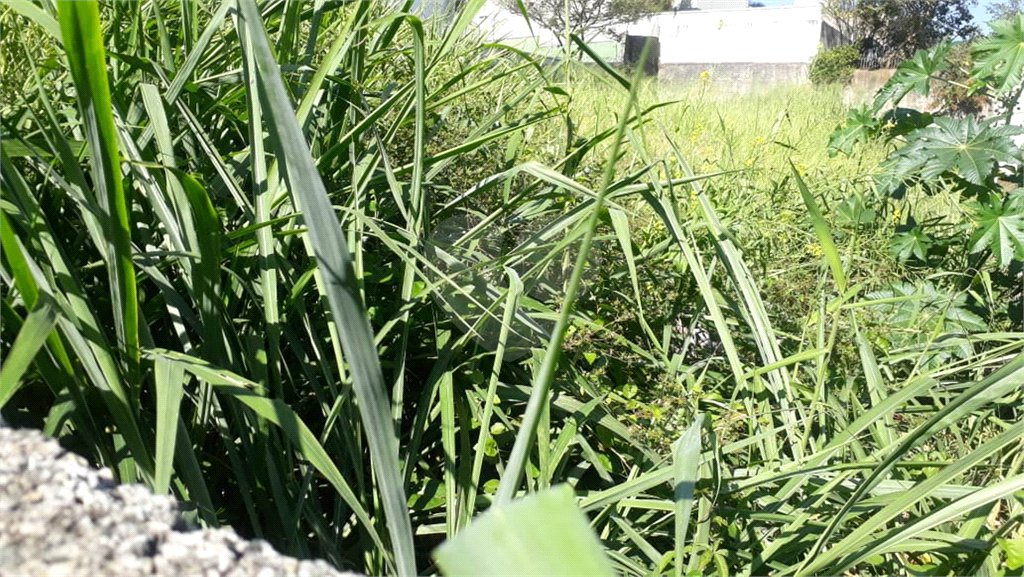Terreno à venda em Jardim São Bento, São Paulo, SP