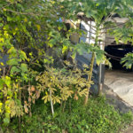 Terreno à venda em Tucuruvi, São Paulo, SP