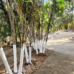 Casa à venda com 2 suítes em Condomínio Fechado Piccolo Paese, Salto, SP