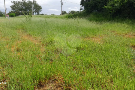 Terreno à venda ou para alugar em Cruz das Almas, Itu, SP