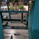 Sobrado à venda com 3 quartos, sendo 1 suíte, em Lar São Paulo, São Paulo, SP