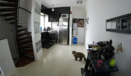 Cobertura à venda com 2 quartos, sendo 1 suíte,  em Vila Andrade, São Paulo, SP