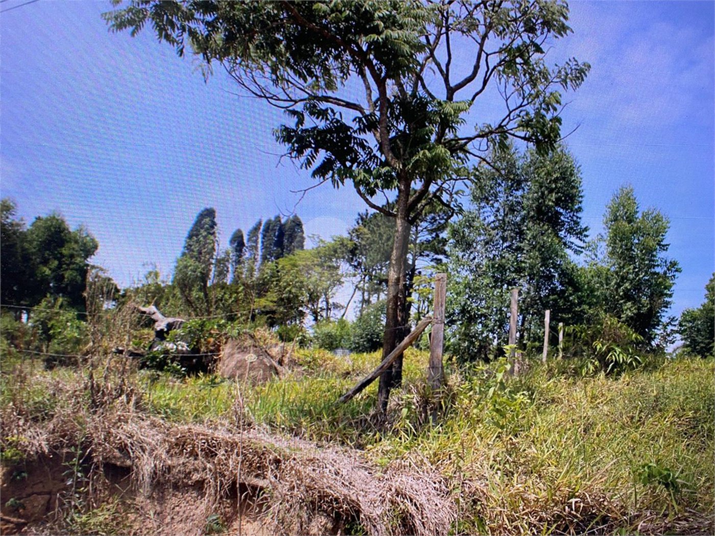 Terreno à venda em Pouso Alegre, Mairinque, SP
