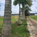 Chácara à venda com 4 quartos, sendo 1 suíte, no Centro, Santa Isabel, SP