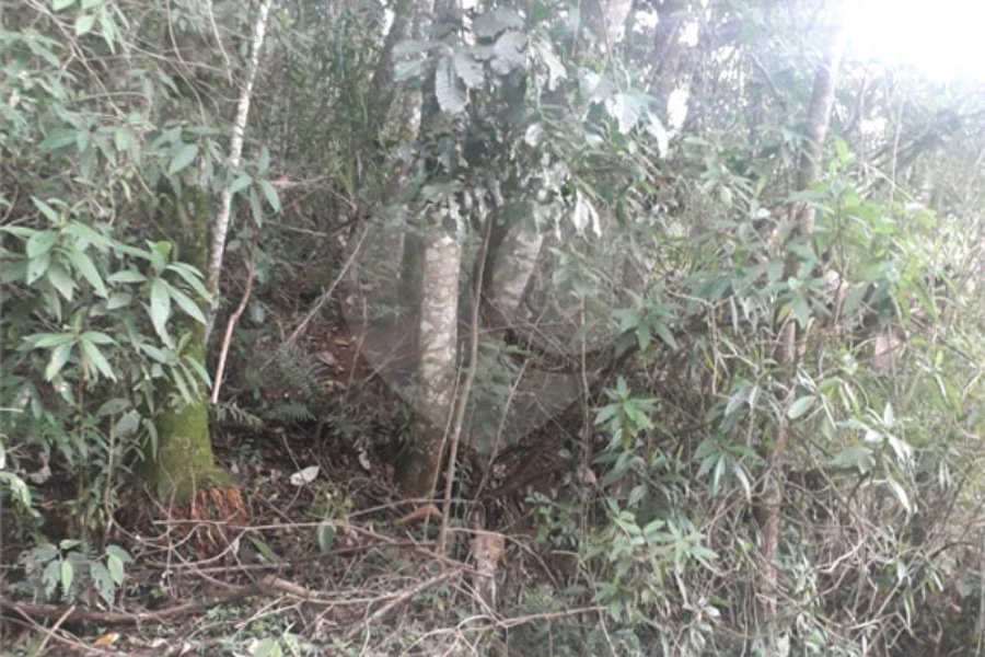 Terreno à venda em Suasalito, Mairiporã, SP