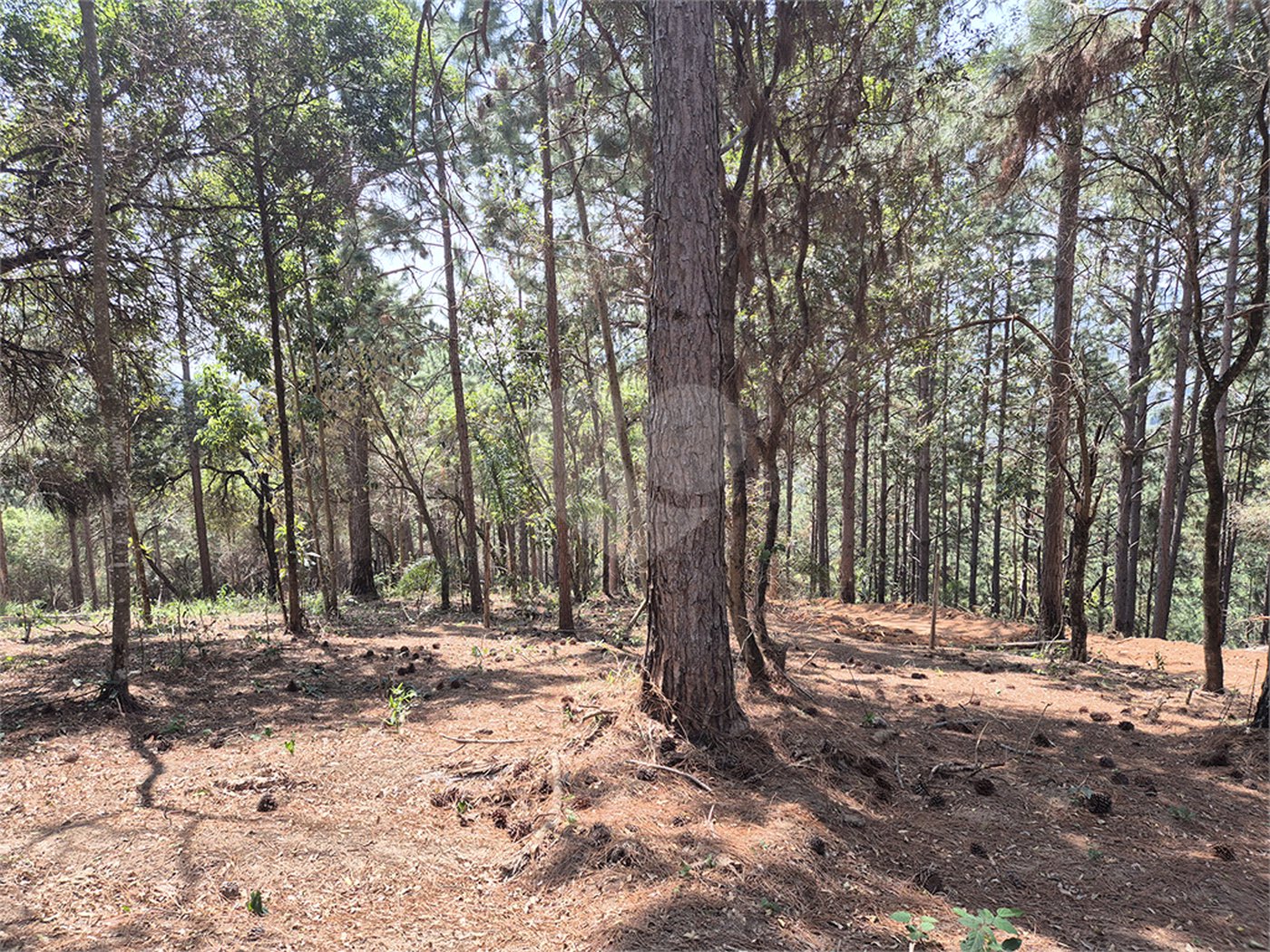 Casa em condomínio à venda em Parque Fernão Dias, Atibaia, SP