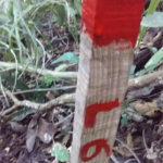Terreno à venda no condomínio Sausalito, Mairiporã - SP