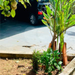 Casa Térrea à venda com 3 quartos, sendo 1 suíte, em Parque Ouro Fino, Sorocaba, SP