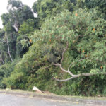 Terreno à venda em Vila Junqueira, Atibaia, SP