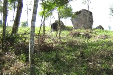Área de Terra à venda em Alto da Serra (mailasqui), São Roque, SP