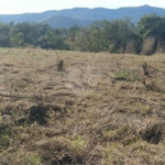 Terreno à venda em Jardim Estância Brasil, Atibaia, SP