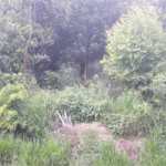 Terreno à venda em Capoavinha, Mairiporã, SP