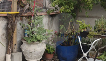 Sobrado à venda com 3 quartos, sendo 1 suíte,  em Jardim da Mamãe, Guarulhos, SP
