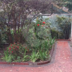 Casa à venda ou para alugar com 6 quartos em Tijuca, Rio de Janeiro, RJ