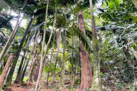 Terreno à venda em Tucuruvi, São Paulo, SP
