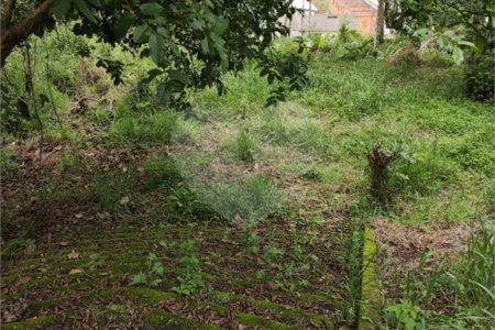 Terreno à venda em Vila Moraes, Mogi das Cruzes, SP