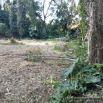 Terreno à venda com 1 suíte em Alto da Boa Vista, São Paulo, SP