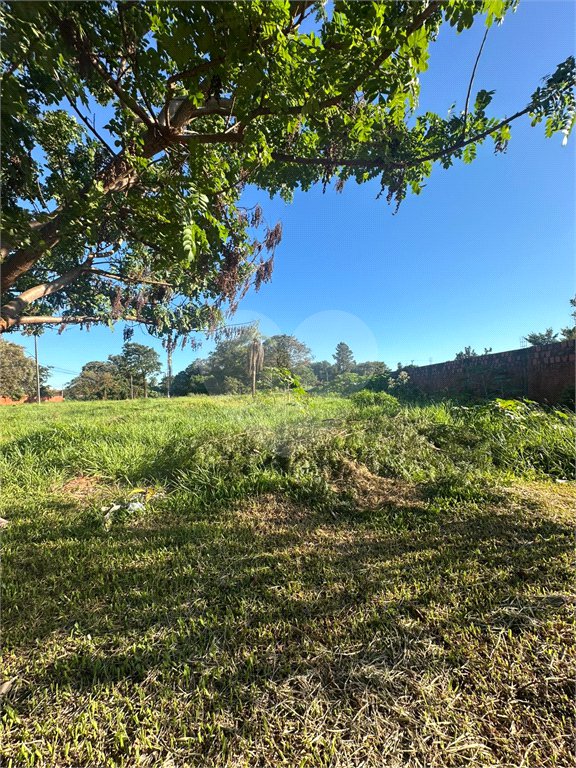 Terreno à venda em Pedro Juan Caballero, Amambay