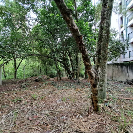 Terreno à venda em Jardim Ampliação, São Paulo, SP