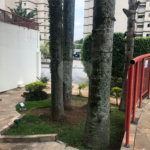 Apartamento à venda com 3 quartos, sendo 1 suíte, em Saúde, São Paulo, SP