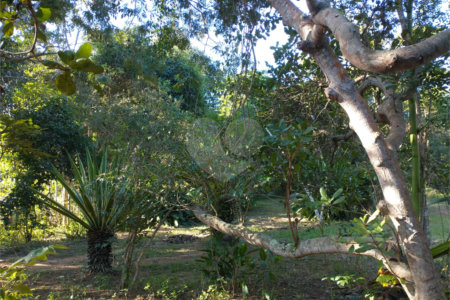 Terreno à venda em Vila Verde, Armação dos Búzios, RJ