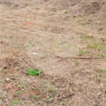 Terreno à venda em Jardim América, Bragança Paulista, SP
