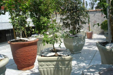 Casa à venda com 3 quartos, sendo 1 suíte, em Conjunto Residencial Butantã, São Paulo, SP
