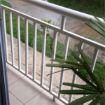 Apartamento à venda com 2 quartos em Jardim Guilhermino, Guarulhos, SP