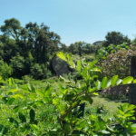 Casa à venda no condomínio Chacara Castelo, Sorocaba - SP