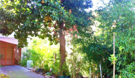 Terreno à venda em Santana, São Paulo, SP