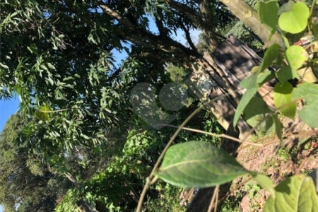 Terreno à venda em Parque Novo Horizonte, Itaquaquecetuba, SP