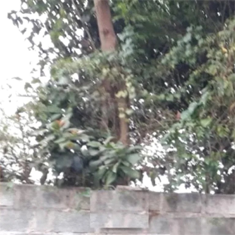 Terreno à venda no condomínio Jd Leonor, São Paulo - SP