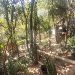 Casa à venda ou para alugar com 3 suítes em Juqueri Mirim, Mairiporã, SP