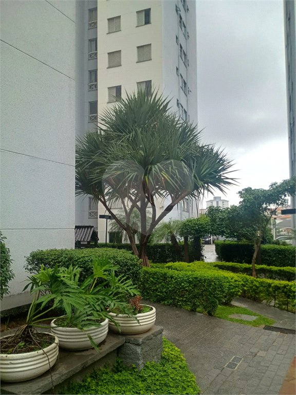 Apartamento à venda com 2 quartos em Freguesia do Ó, São Paulo, SP